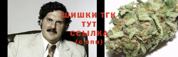 гидра Алзамай