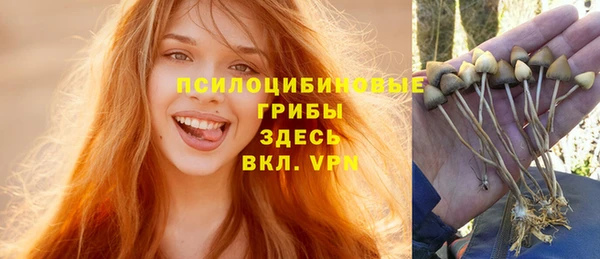 экстази Алексин
