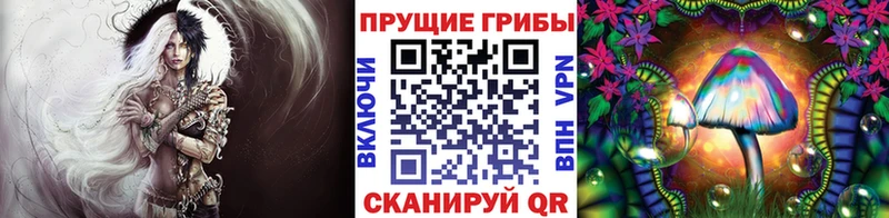 Галлюциногенные грибы Cubensis  Приморск 