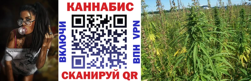 Канабис SATIVA & INDICA  сколько стоит  Приморск 